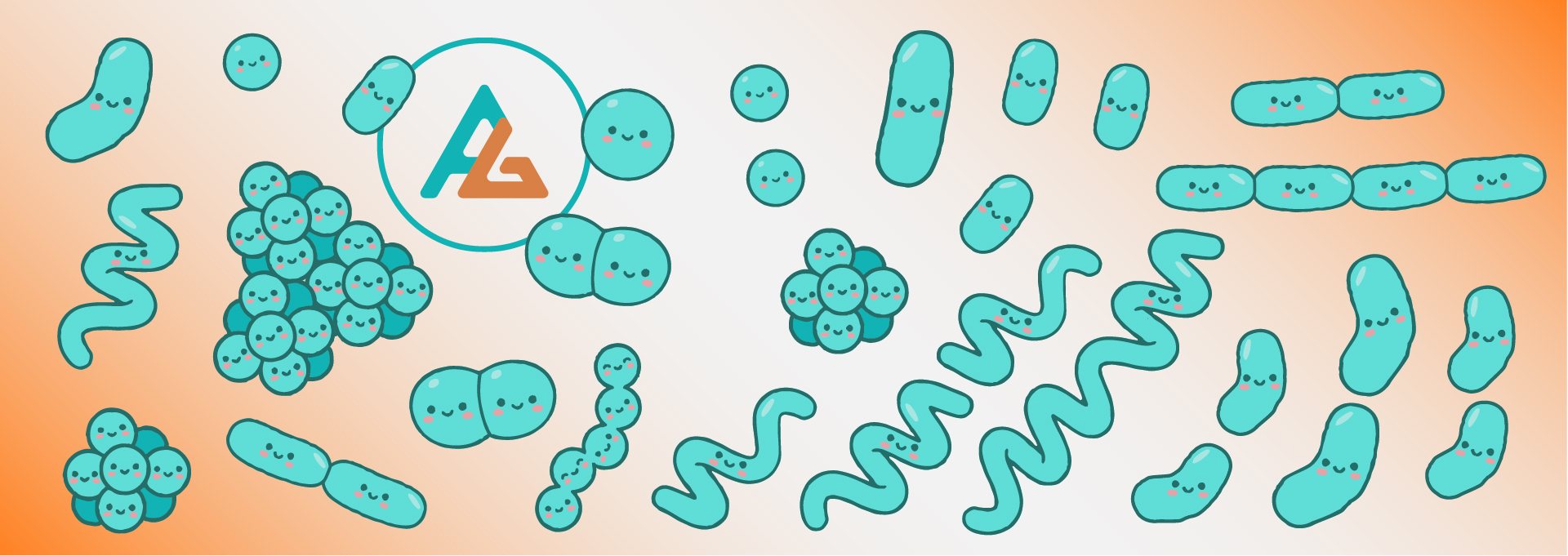 morfologia bacteriana